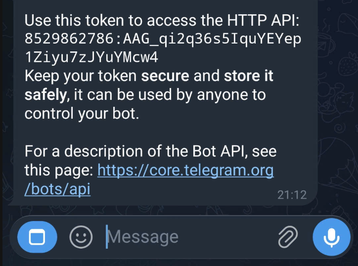 The final screen showing the API token generation